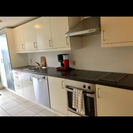 Modern & Spacious Apartmán Silkeborg