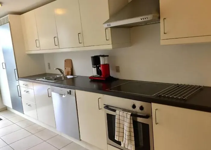 Modern & Spacious Appartamento Silkeborg